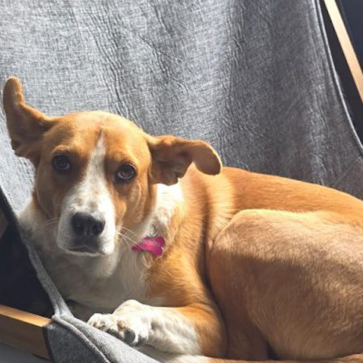 perdido Desconocido cafe